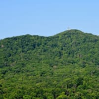 2025.06.10(火)AM07:30の藻岩山・平和祈念塔・手稲山・三角山・円山