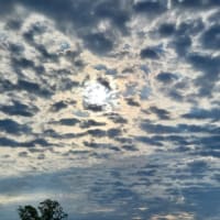 朝空