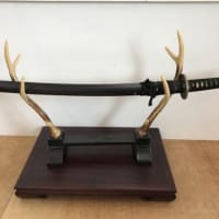 遂に見つけたお宝