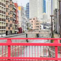 東京・街の一コマ　：　神田川の風景（中野新橋あたり）