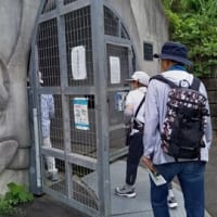 亀の瀬地滑り施設見学と龍田古道ウオーキング