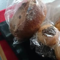 ２月９日    ぼちぼちいこか。