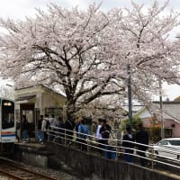 お客さま、それぞれ。