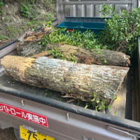 区長の仕事