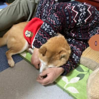 距離感は大事