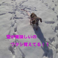 雪遊び～♪足アート☆ワ-(ノ。・ω・)八(。・ω・。)八(・ω・。)ノ-ィ!!!！
