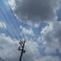 梅雨の中休みも終わり？ （￣。￣）　梅雨前線の復活～ (-＿-)ｳｰﾑ