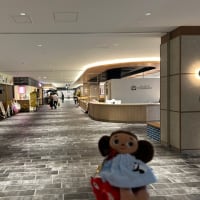 Bivi二条 新装開店！
