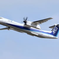日本貨物航空 「 ボーイング 747-400F ( NCA グリーン 日本貨物航空 「 ボーイング 747-400F ( NCA グリーン