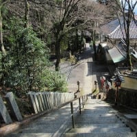 高槻市の本山寺からポンポン山へ登ってみたら桜の季節に雪道でした　その3　2024年3月22日