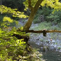 自分の人生を断捨離しても良いですか？