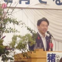 猪口邦子を育てる会に参加しました