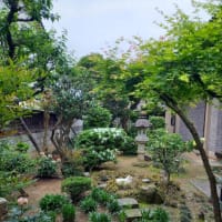 春の庭百景めぐり