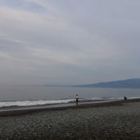 2025/05/16　金　国府津海岸