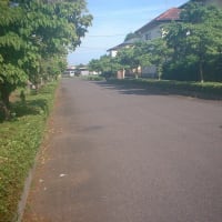今日も暑くなりそうです。