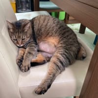 今朝ものんびり
