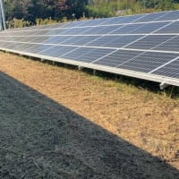 太陽光発電所の草刈りはいつが良いの？