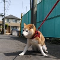 引っ越しますね
