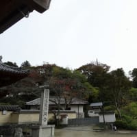 06/21奈良京都への旅ー9（明日香村④：石舞台古墳、犬養万葉記念館、岡寺、）