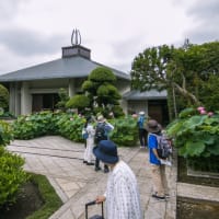 7月12日(土) 335回玉川上水に親しむ会-玉川上水を歩く7-4の前半