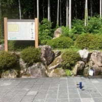湧き水を飲んで