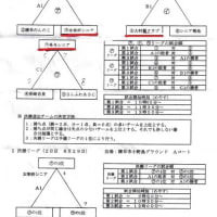 第8回九州シニアソフトボール連盟　長崎大会準優勝！！