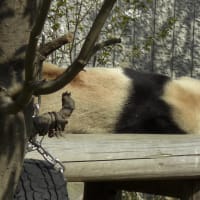 心がウキウキ