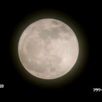 05/23日記：５月の満月　フラワームーン