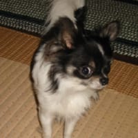 ２０１１．６．１６ （木） ／　これからの日々は　 