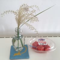 すすき🌾　と　スイカ🍉
