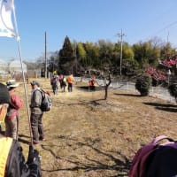 観梅ウォーク（大心苑）＜３月１日（土）＞