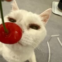 今年も大好物いただきました。