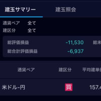 2025年1月1日〜4日のトレード結果