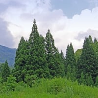 土倉鉱山