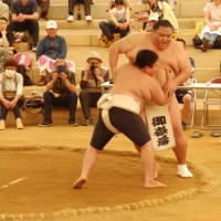 相撲部屋の信州合宿