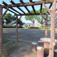 朝の散歩（2025/6/19）・・・姶良市加治木町木田西部方面