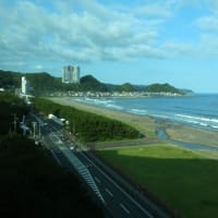 今日の鴨川　　25/07/03