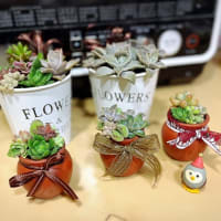 相模国分寺手作りマーケット　第二土曜日開催(^0^)
