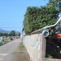二刀流の復活と猛暑の作業