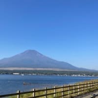 朝霧高原