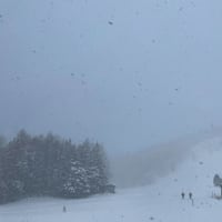 乗鞍スキー場で新雪練習