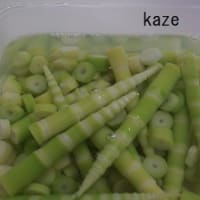 ハロ