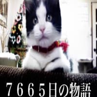 サヨウナラから始めよう 