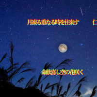 ふたりあそび５７５交心『　月凍る重なる時を往来す　』