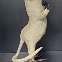 TV東京で紹介されます