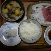 今晩のうちのご飯