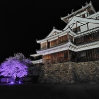 R６年第３月曜日　～福知山城の夜桜②～