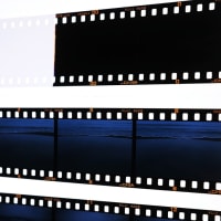 現像上がりのリバーサルフィルム
