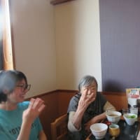 外食に行ってきました♬　白梅の森より
