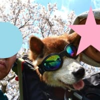 4月27日(日)　ありがとう！！